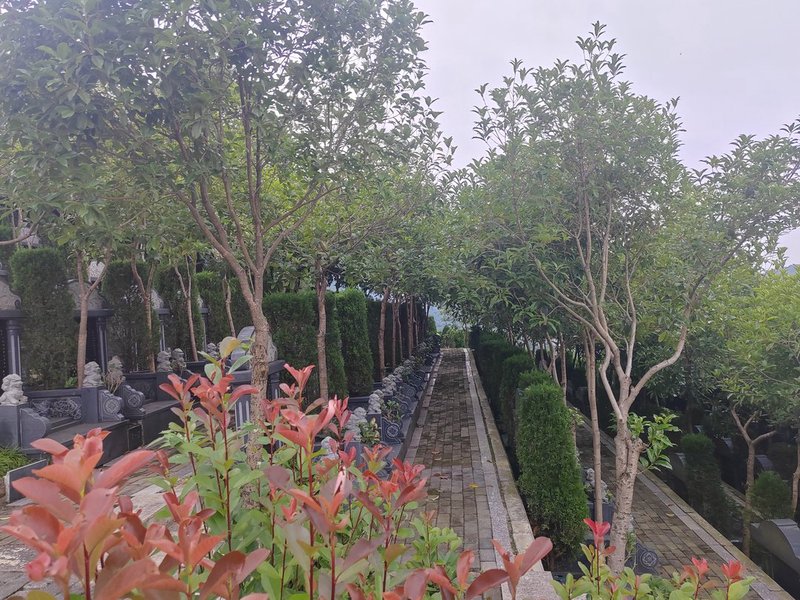 公墓地形